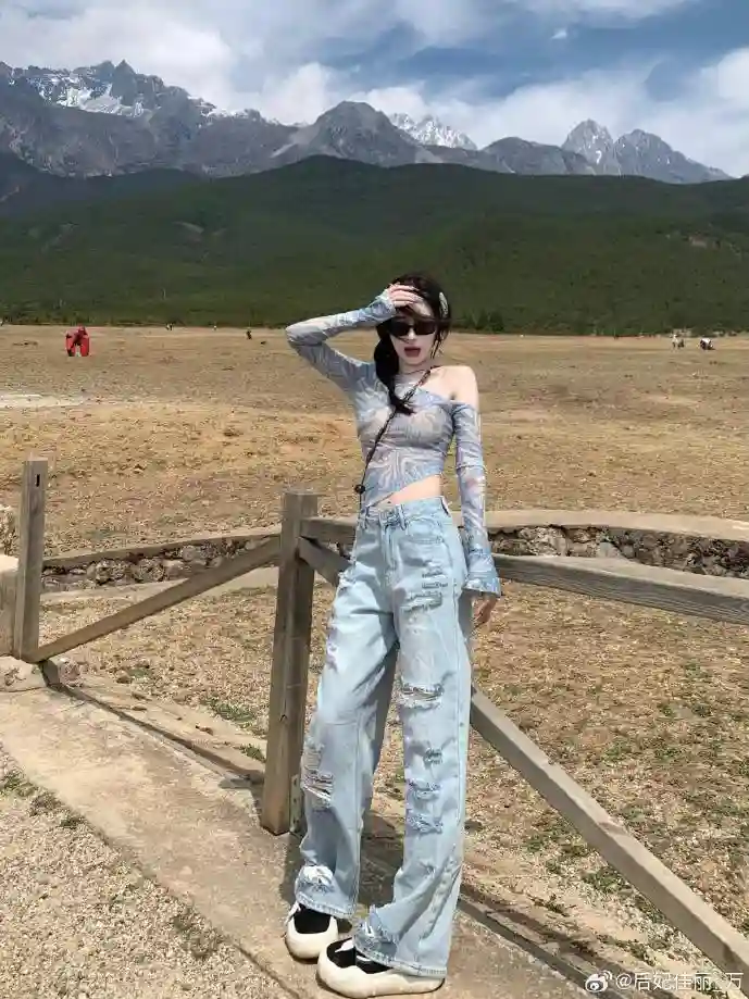 月光宝盒下载数据分析